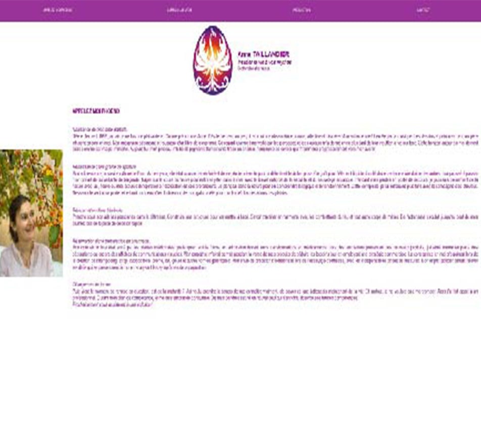 maquette du premier site, personal branding d'Anne Taillandier